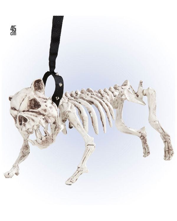 Skeleton Dog with Lead - 45cm