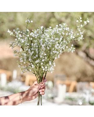 Gypsophilia Foliage Stems (5pk)