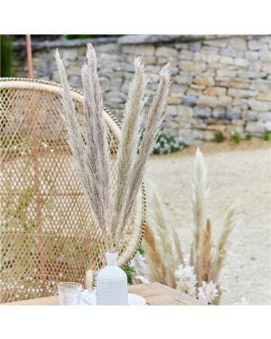 A Touch Of Pampas Natural Pampas Grass (5pk)