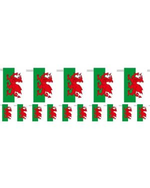 Welsh Plastic Flag Bunting - 5m