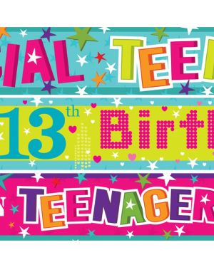 13th Teenager Birthday Paper Banners - 1m (3pk)