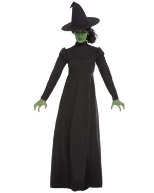 Wicked Witch - Adult Costume