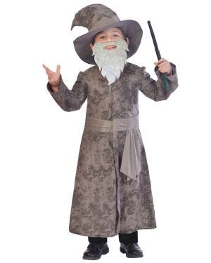 Wise Wizard - Child Costume