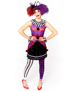 Harlequin Heartbreaker - Adult Costume