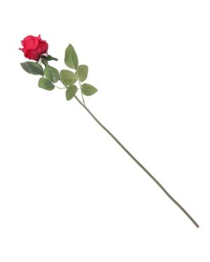 Long Stem Rose - 55cm