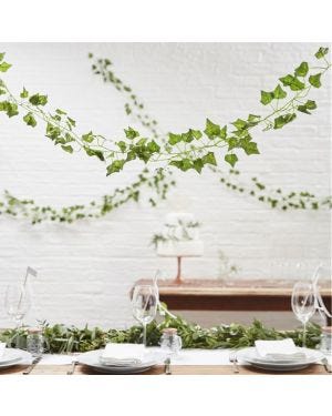 Beautiful Botanics Decorative Vines - 2m (5pk)