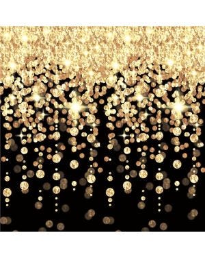 Hollywood Cascading Lights Scene Setter -1.21m x 12.19m
