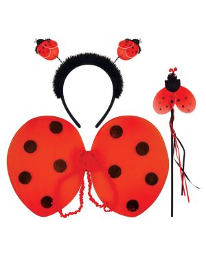 Ladybug Accessory Kit - Child
