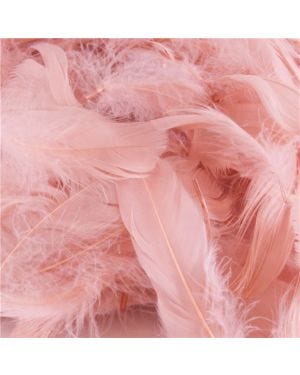 Rose Gold Decorative Feathers (50g pack)