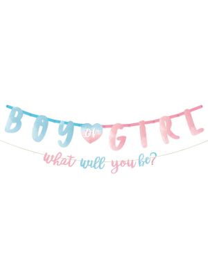 The Big Reveal Letter Banner Kit - 3m