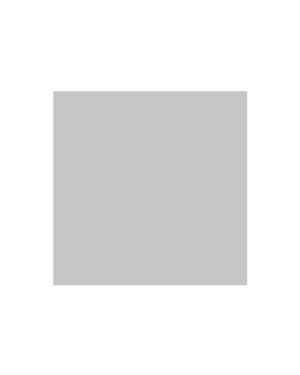 Ritrama Matt Vinyl Silver - 305mm x 5m