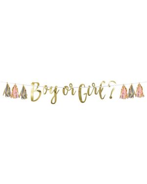 Boy Or Girl Banner with Tassels - 1.5m
