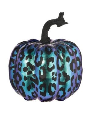 Purple Midnight Pumpkin - 17.5cm
