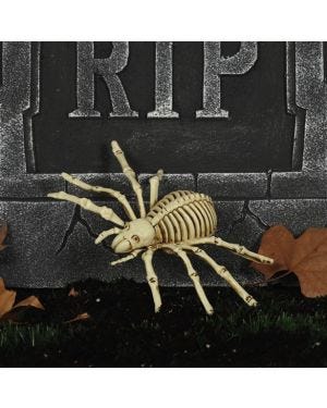 Spider Skeleton - 24cm