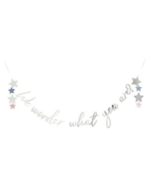 We Wonder What You Are Letter Banner - 2m
