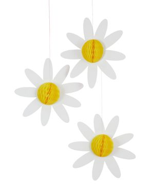 Daisy Honeycomb (3pk)